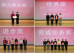 ju11.co-完美团队合作，勒沃库森晋级四强的简单介绍
